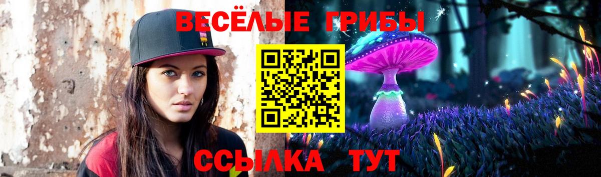 Псилоцибиновые грибы мухоморы  магазин продажи наркотиков  Арзамас  Псилоцибиновые грибы GOLDEN TEACHER  Вход с VPN 
